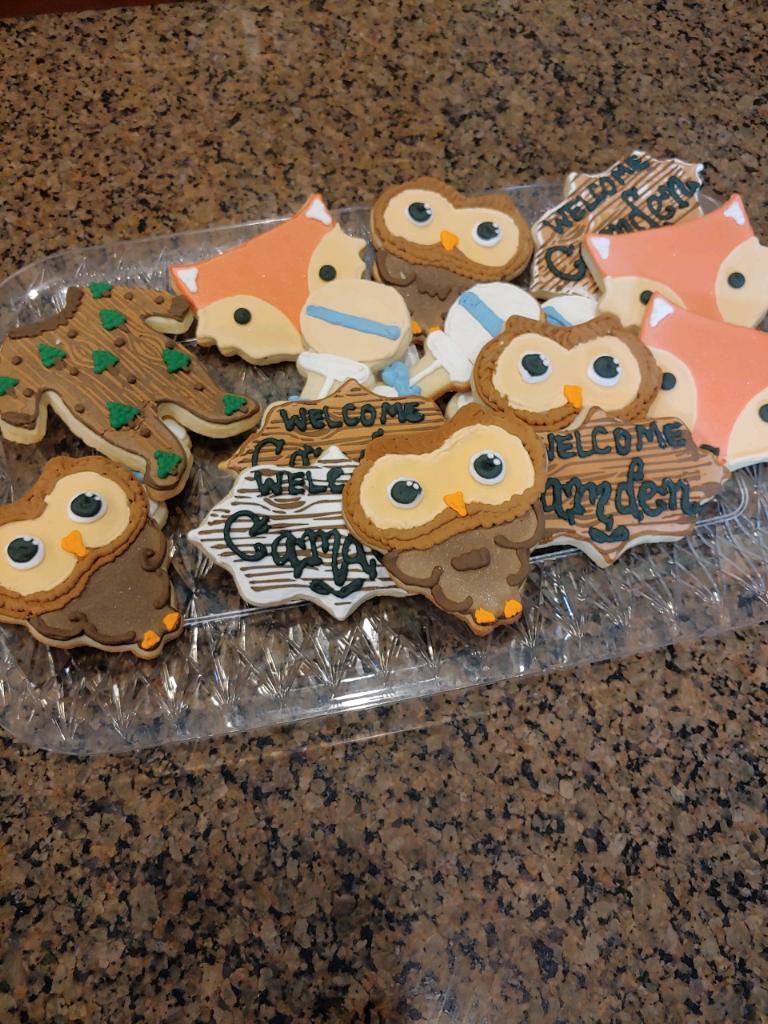 woodland creature baby shower cookies